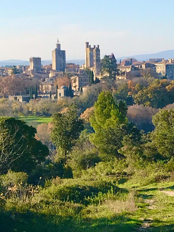 Maison De Roche-Uzes Centre Historique L' Ucetia Bagian luar foto